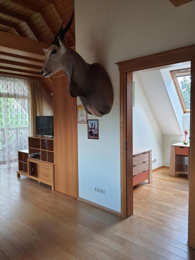 Apartamentai Hunter House 德拉肯恩凯 外观 照片